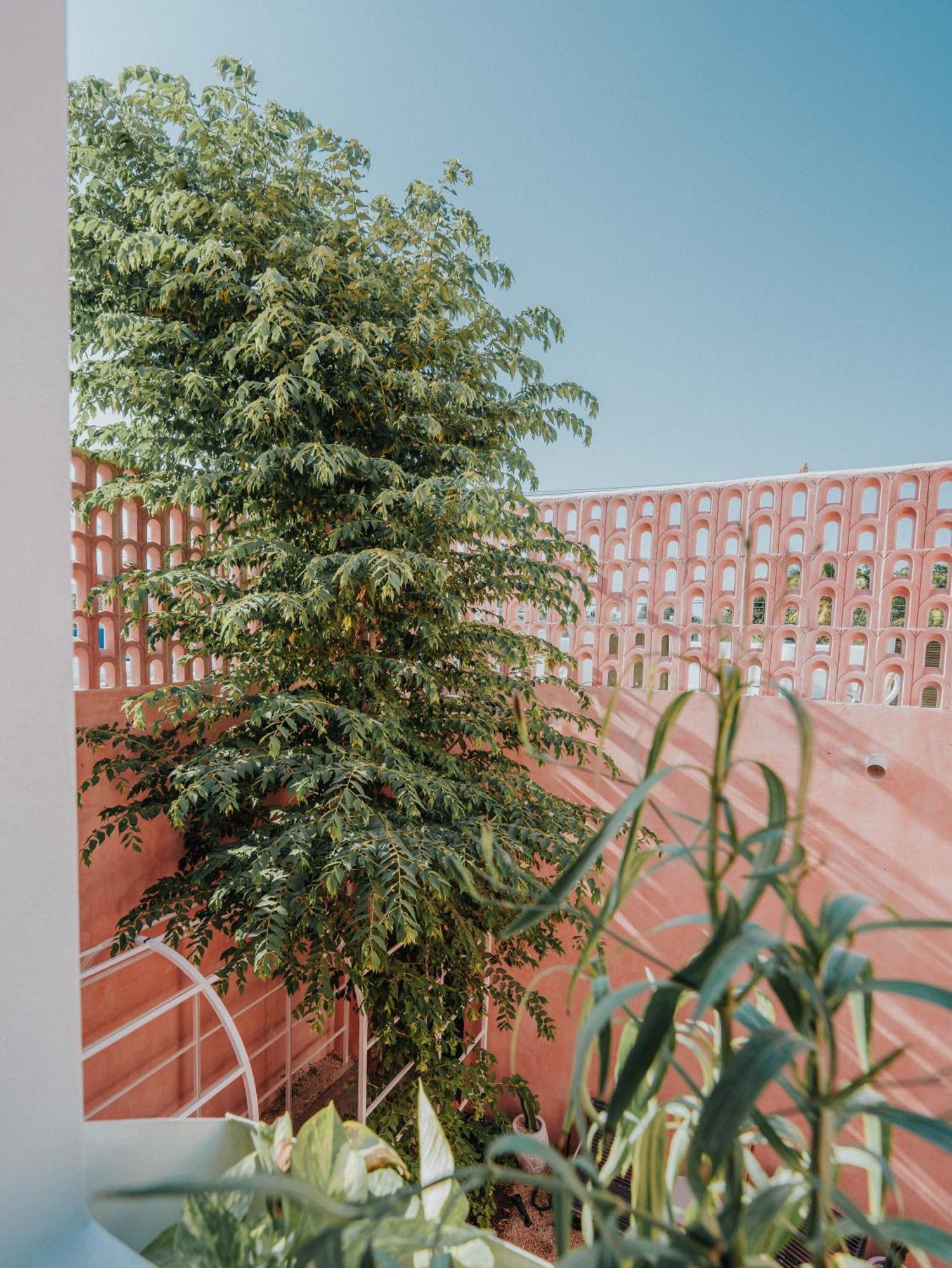 Auberge de jeunesse Casa Amate 61 Boutique *